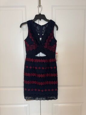 Gianni Bini Navy and Burgundy Lace Cutout Mini Dress